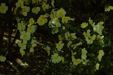 2F4A3DC2-80A8-4396-A16B-C0A0CF3C732B/L0/001