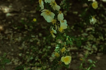 D6FE2B2F-E415-450C-88B9-EA58044F0E23/L0/001