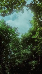 38128FD8-E50A-4F78-A360-127F08636B8B/L0/001