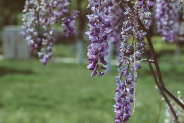 155C4C34-683D-4DFB-A228-CAF115D0B8C1/L0/001