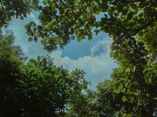 E7C31511-12A1-46CB-A23C-0A8B8ED006E8/L0/001