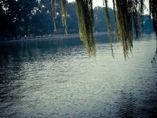 2DEB850F-92B1-45F9-868E-D6E0DE993953/L0/001