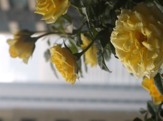 BD8FC538-7D63-4B44-A957-780E17D63BAF