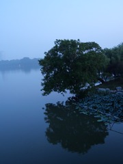 5F5EADB3-A6DC-4BAD-97EC-E7BD1B99136B/L0/001