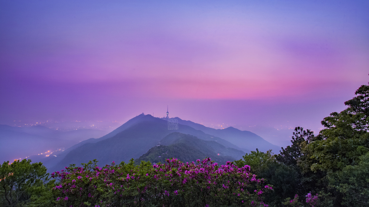 打赏是鼓励夜幕降临时紫色的晚霞和山上的紫杜鹃,宛如仙子一样漂亮,故
