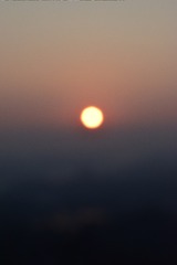 323279