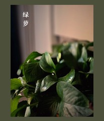 756082C9-2C7C-4EC0-AE8E-8E3D631973A8/L0/001