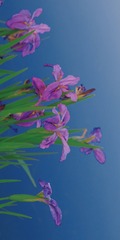 3FF5494B-D0EB-4EF1-B876-B481CEC390FF/L0/001