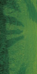 2C22752E-4DCB-4A91-8F5C-AA5910E8F54D/L0/001