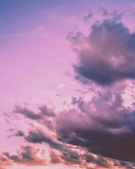 87B3EC29-D67B-4C1B-AC3E-AF04B9C5E888/L0/001