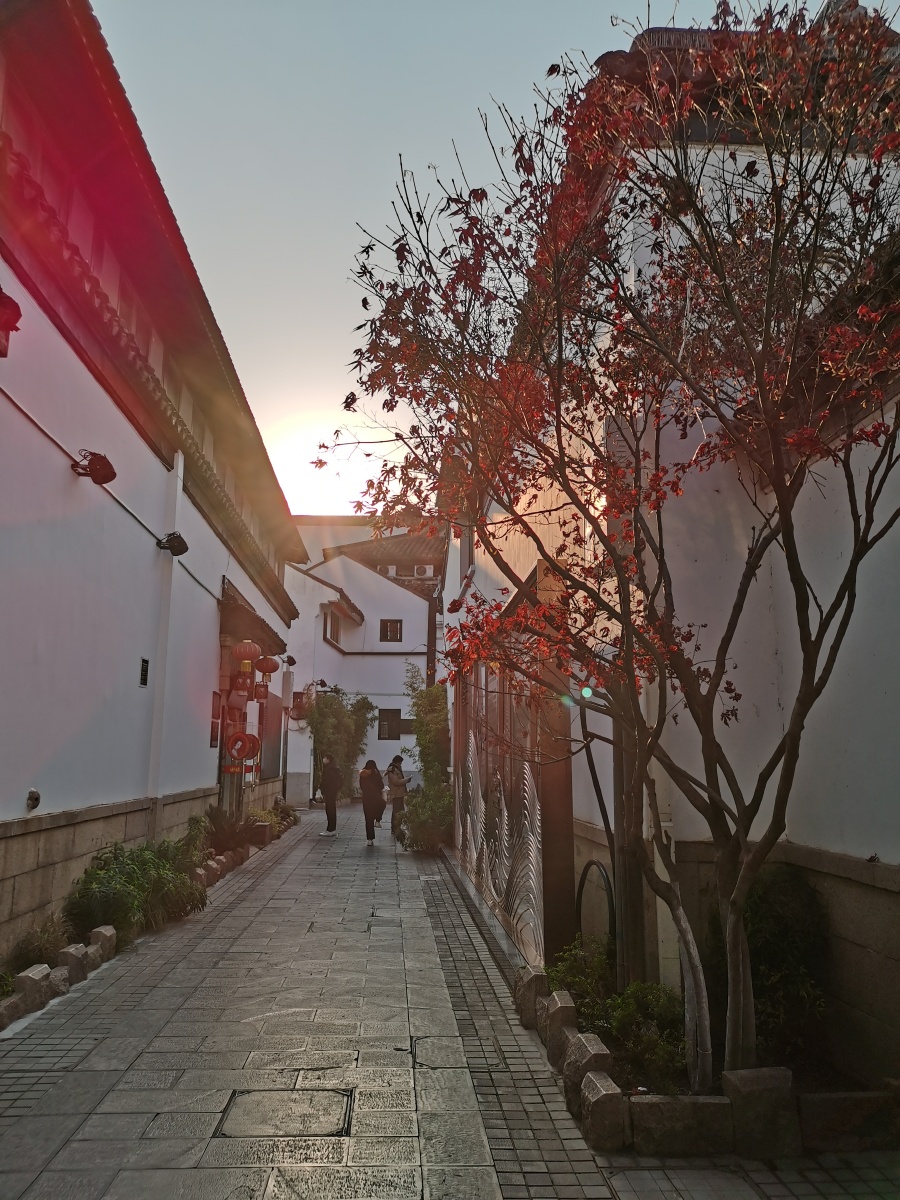 朱雀桥边野草花乌衣巷口夕阳斜南京乌衣巷朱雀桥