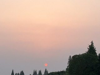 5A579502-C0EA-4BBF-8FD0-6AD5E6092A05/L0/001