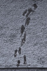 163023