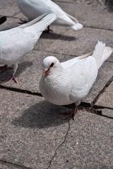 92305