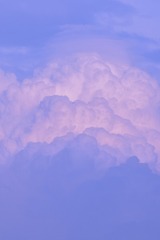 568