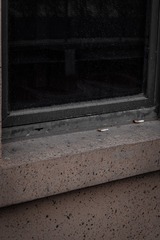 102497