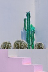 125046