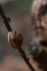 19055