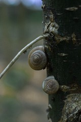 19057