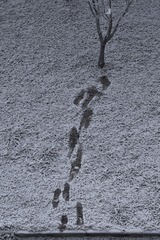 163022