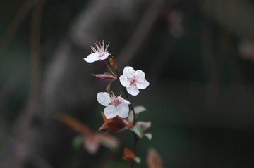 162077FA-E156-4BB1-A984-AE35B43A3DA1/L0/001