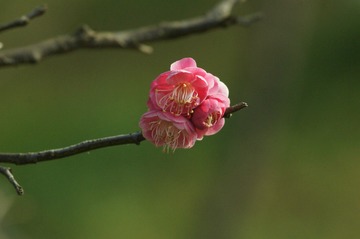 0E20100F-1E85-4001-861F-2CF7E8E8910D/L0/001
