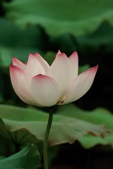 DD43E01D-E6CB-4683-A708-CBBDBB593DF8/L0/001