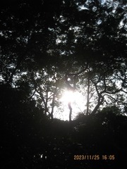 001