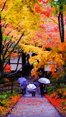C2CE8E6D-3F73-473D-A462-B98962CF4E78/L0/001
