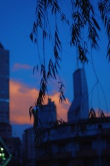 89C68DC0-1C13-4E8C-A95A-0857DCB7F2E6/L0/001