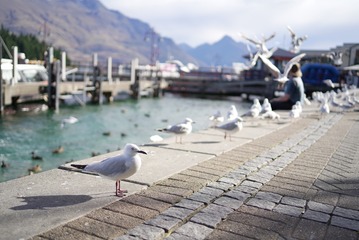 8B2161D8-ED88-4C83-97A7-2036638FCB24/L0/001