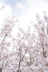 726C7E5C-5A1D-4693-842B-BA0F5525519B/L0/001