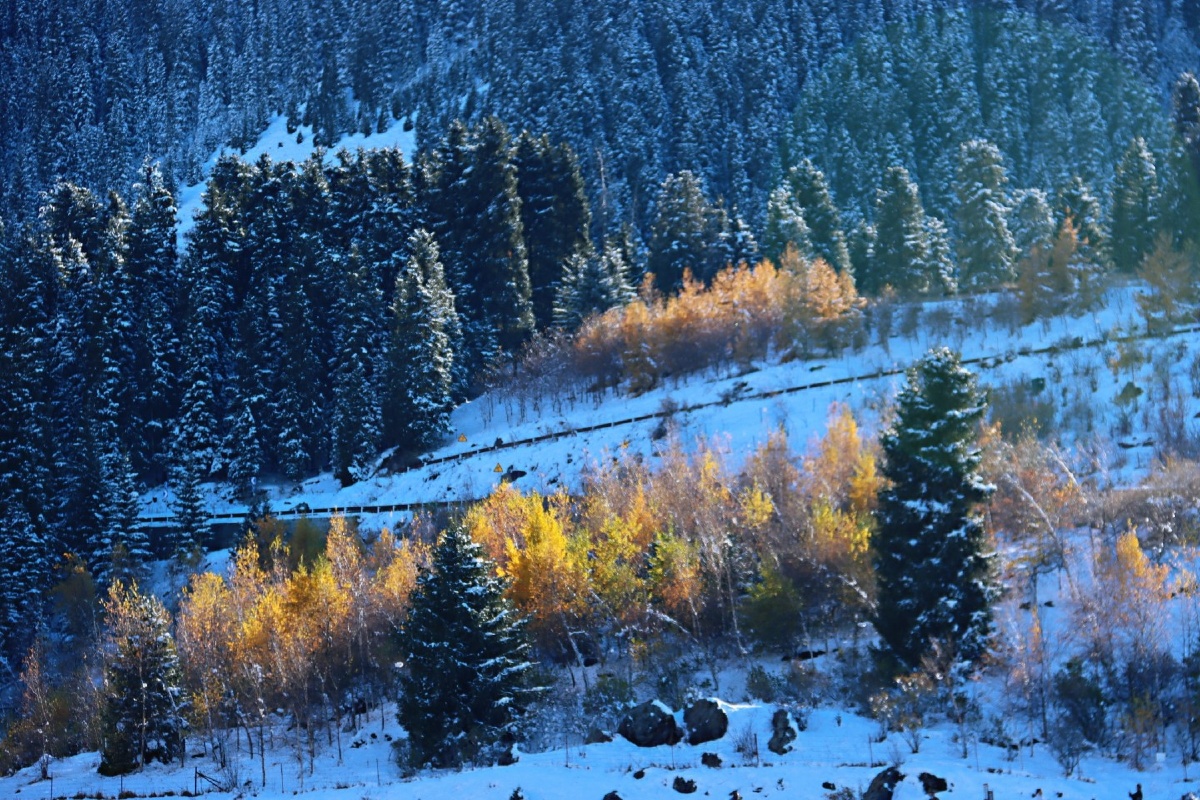 新疆天山天池,刚好下了一场雪,第二天到达天山,景色清冷宜人!