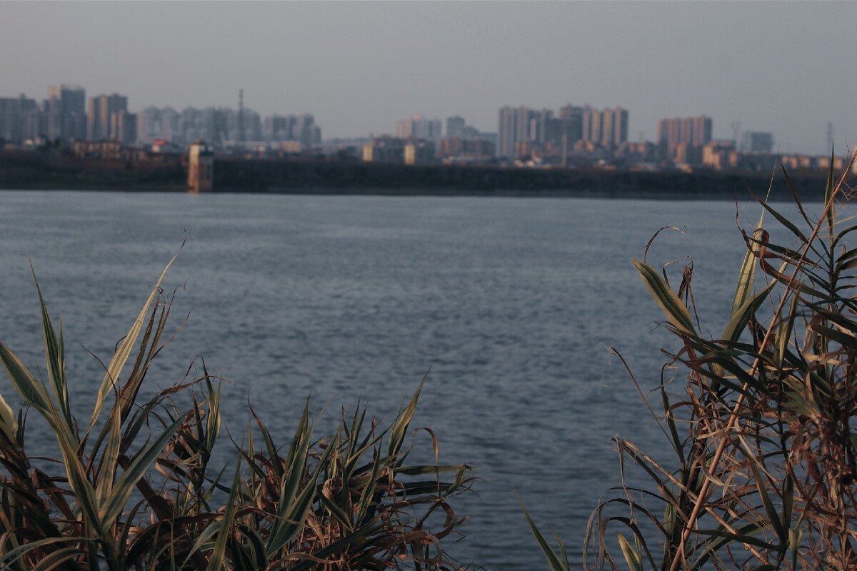明信片