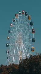 1000019804