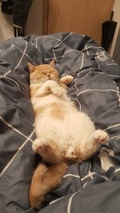 95