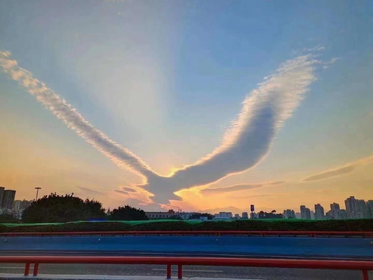 几千里也化而为鸟其名为鹏鹏之背不知其几千里也怒而飞其翼若垂天之云