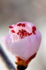DSC_1096_01-01
