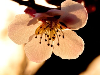 DSC_1080_01-02