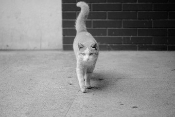 不困的困
