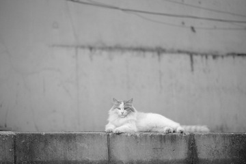 DSC_9842-01