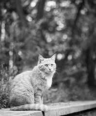 DSC_0301-03