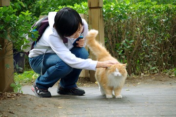 虎妞