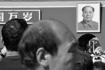 The big brother is watching you! (3)