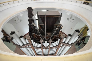 organ