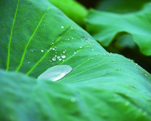 2F8359D0-F719-4605-A608-E183FAA20DAA/L0/001