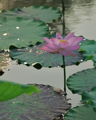 4917601E-FE78-4C6E-AE81-5C5BB7E093CC/L0/001