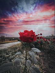 D5B91159-F1D6-403B-B065-DBC5B2B713DE/L0/001