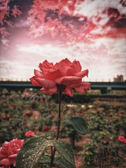 001