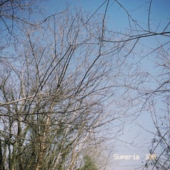 28D1D3DC-9A4F-4727-AD82-2FDBD14D42BD/L0/001